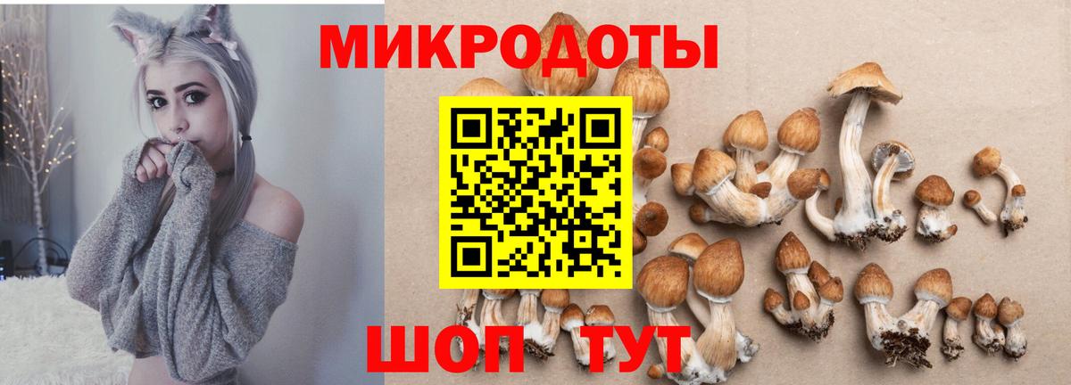 Ишимбай  наркошоп  Галлюциногенные грибы мухоморы  Вход с VPN  Галлюциногенные грибы мицелий 